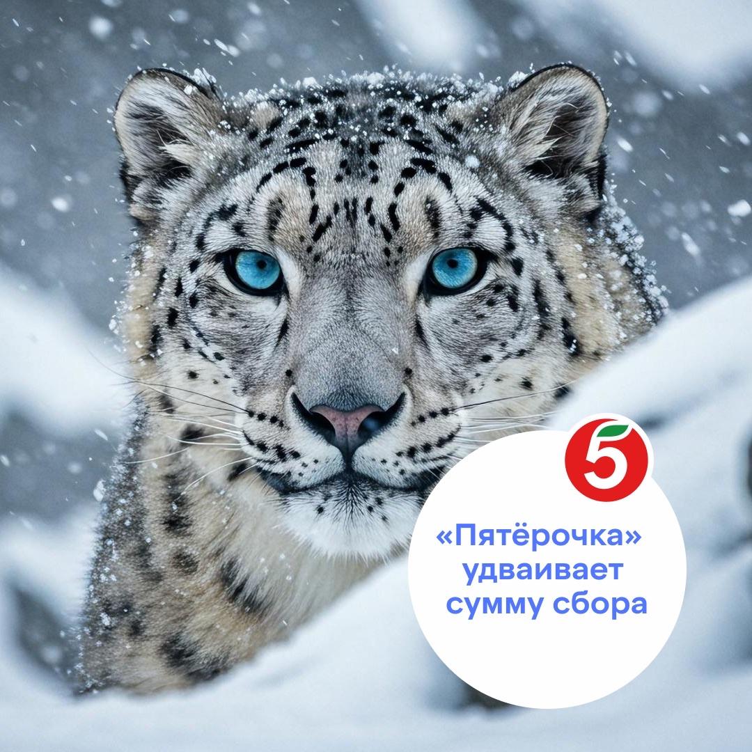 Картинка получателя пожертвования